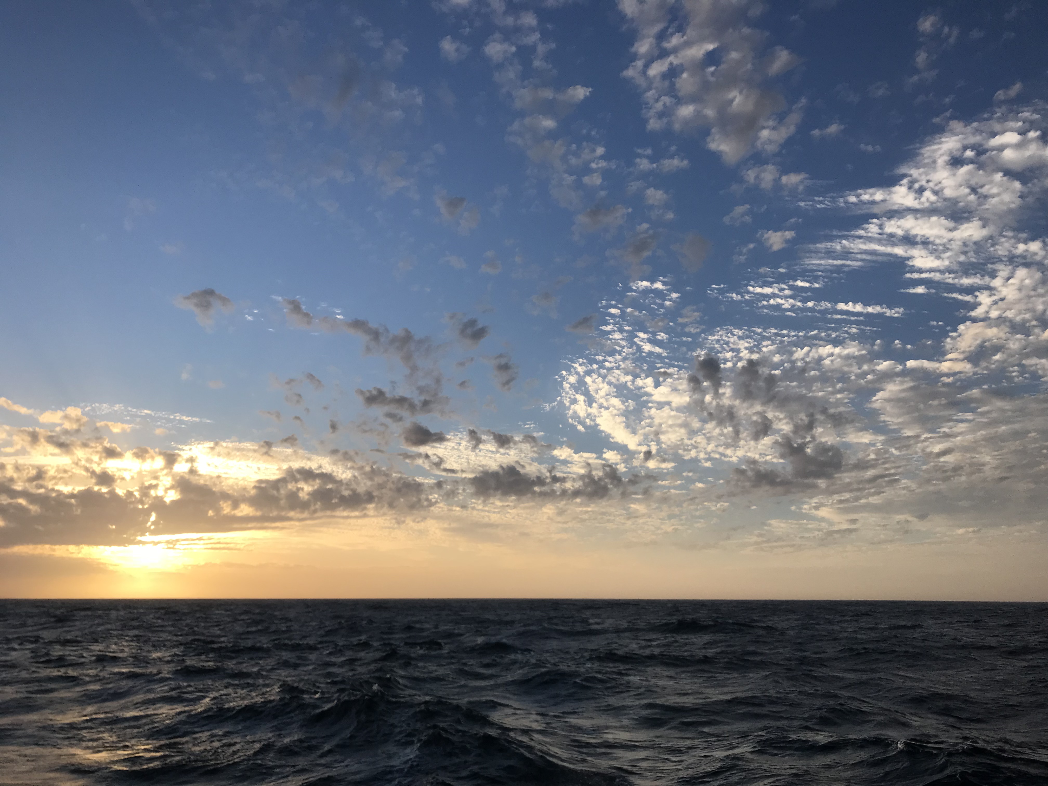 Blog – The Figure 8 Voyage